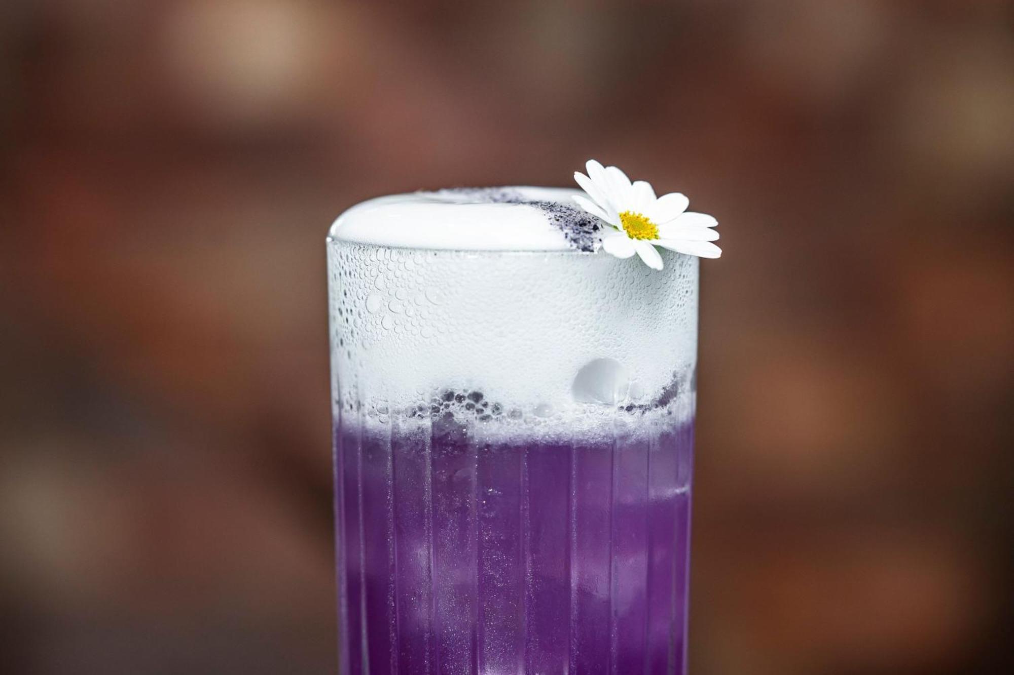 Prague Marriott Hotel Ngoại thất bức ảnh Purple Rain